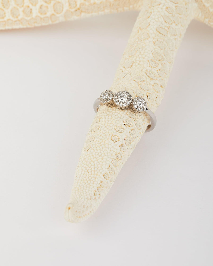 Anello Trilogy