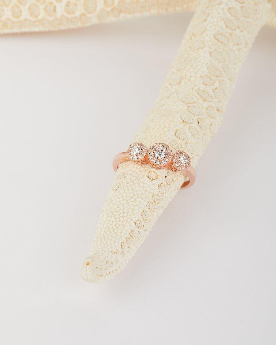 Anello Trilogy